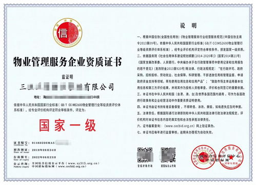 Temu招商政策，条件与资质审查流程详解