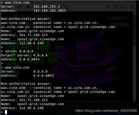 什么是域名反查？从“反向”视角理解域名解析逻辑