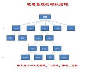 域名注册后多久生效？新手必看的3个时间差坑，2025年新政策下如何加速生效？