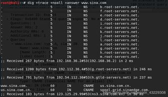 副标题：2025年域名回购市场新趋势：从“被动防御”到“主动守护”，用户需求在变