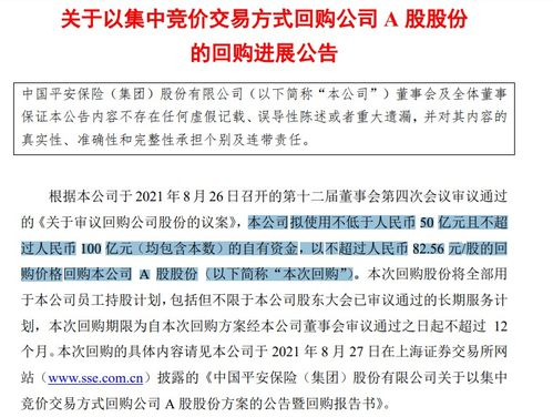 域名回购平台怎么选？2025年这3个支持多类型的平台值得重点关注