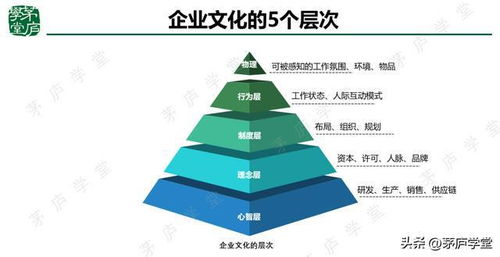 13. 日本消费者喜好,日本消费者购买行为特点