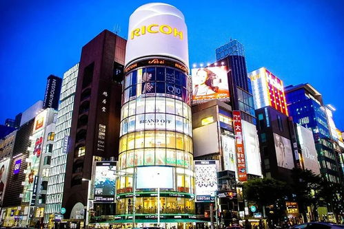 24. 日本户外运动选品,日本户外运动品牌有哪些