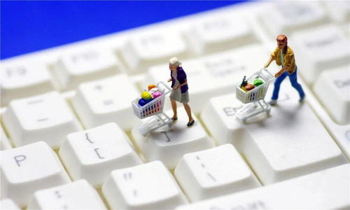 40. 日本站产品图片要求,日本站品牌注册