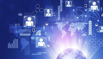 81. 乐天网红合作,乐天网络科技工作室