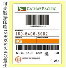 乐天环保包装的核心材料与技术创新