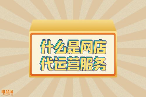 167. 乐天代运营服务,乐天运营技巧