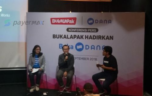 233. 跨境电商印尼DANA支付,跨境电商印尼站什么好卖