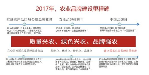 386. 跨境电商支付品牌建设,跨境电商支付解决方案