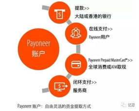 支付生态的多维拆解：跨境交易的复杂脉络