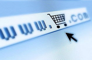 396. 跨境电商支付专家指导,跨境电商 支付机构