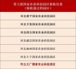 431. 跨境电商支付供应商管理,跨境电商供应链服务
