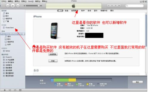 引言：iPhone软件更新的重要性