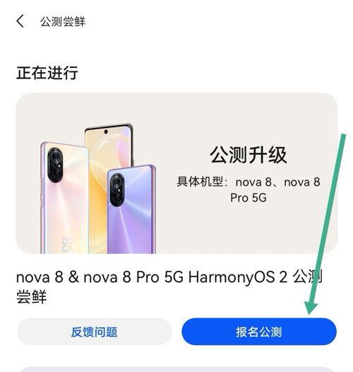 nova14软件更新的途径