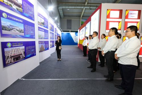 未来章节的展望