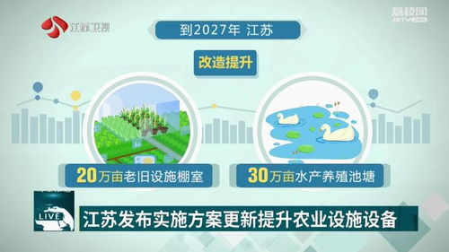 千金更新计划的实施步骤