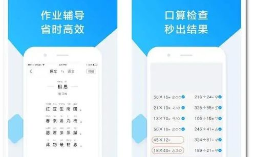 软件商店下载app,软件商店下载app安全吗