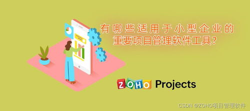 软件工具在项目管理中的重要性：