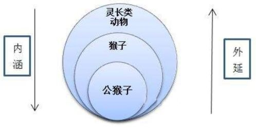 18. 飞轮计划个体户,飞轮加工工艺过程