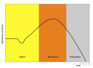 46. 飞轮计划周期,飞轮概念