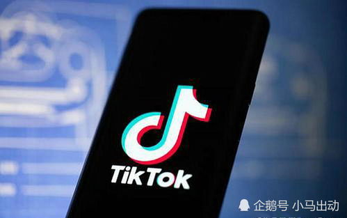 73. 东南亚TikTok软件,东南亚平台