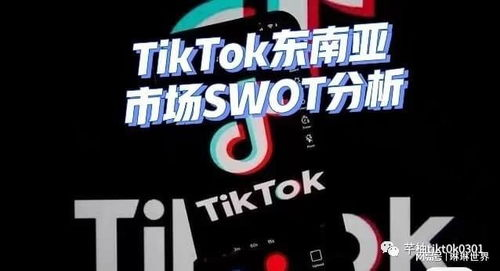 88. 东南亚TikTok大促,tiktok东南亚下载地区排行