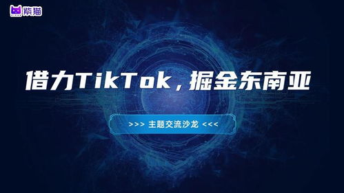 99. 东南亚TikTok服务商,tiktok东南亚版
