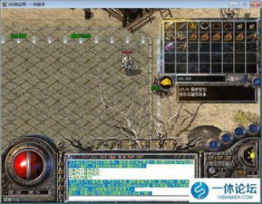 一、变态传奇私服的核心玩法特点解析