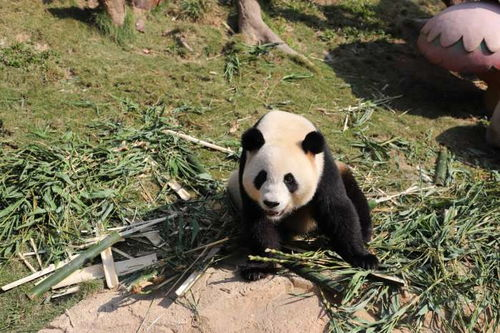 感悟:人与自然,自我与世界