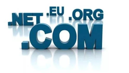 为什么说域名投资不能只盯着短期涨跌？