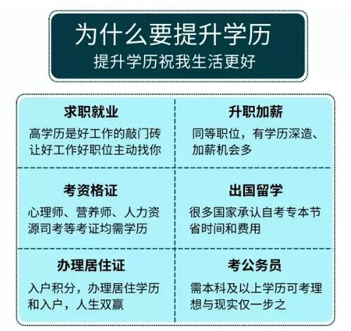品相：物理价值的第一道门槛