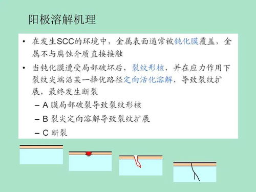 品牌防御:从“抢注”到“防混”的全链路保护