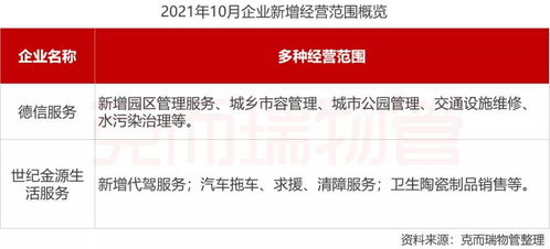 市场验证:从品牌到流量,AABB域名的传播魔力