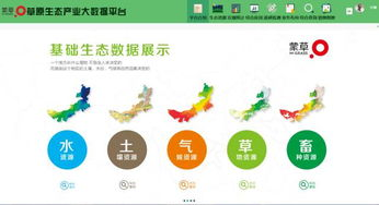 市场生态成熟:大平台入场与行业自律重塑规则