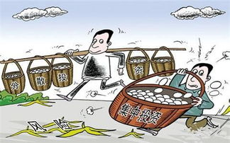 单一选择的风险：从“心仪之选”到“竹篮打水”